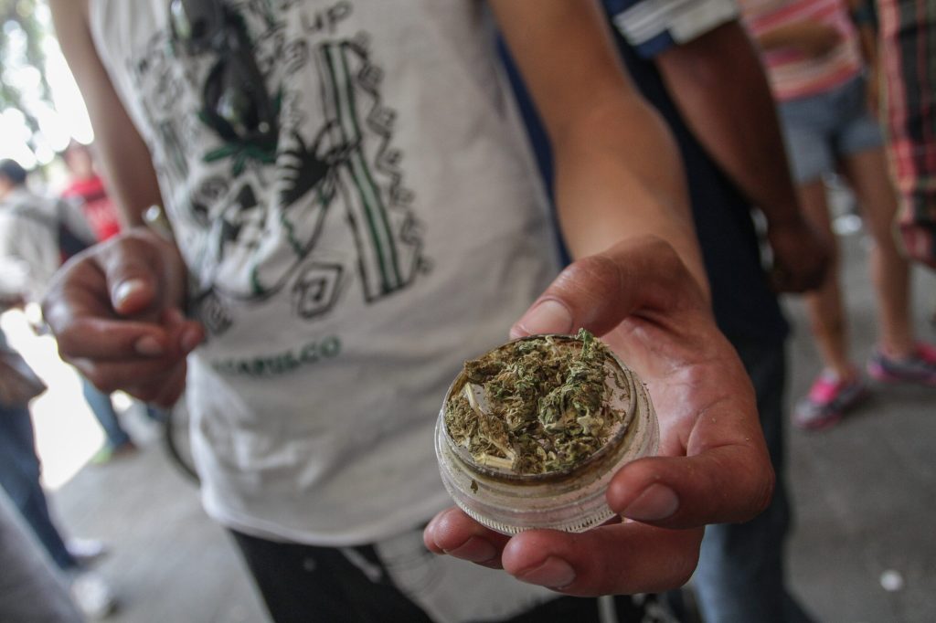iarba marijuana medicinala