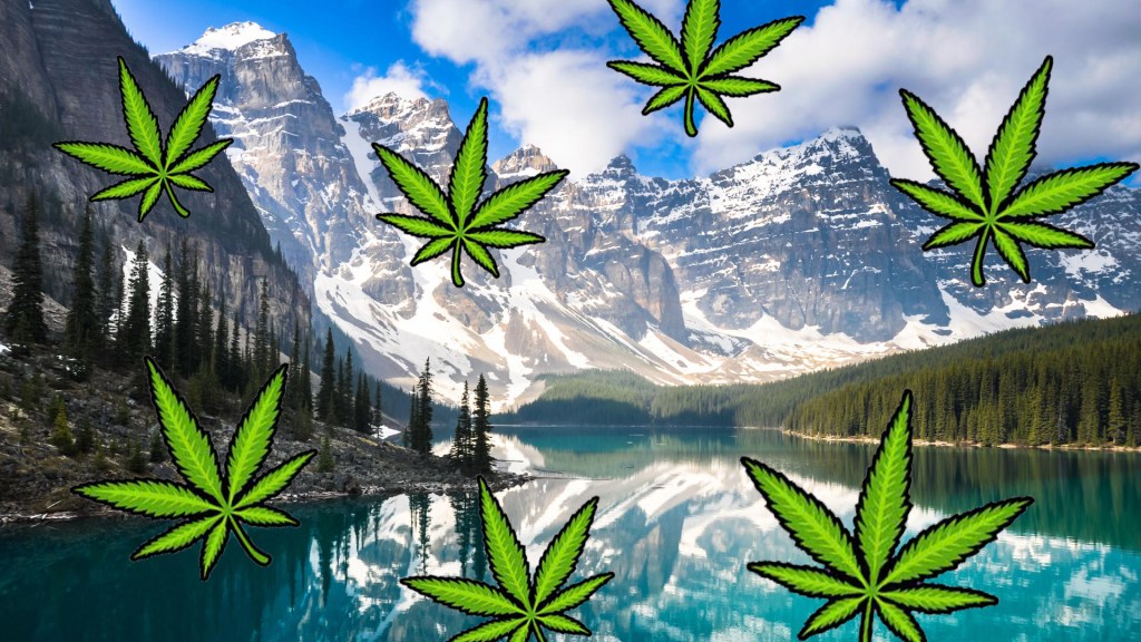 Canadian Businesses Are Cashing in with Luxury Weed Trips