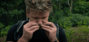 Gordon Ramsay documentario Cocaina