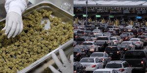 La marihuana legal de California se trafica al sur a través de la frontera y se convierte en contrabando en México.