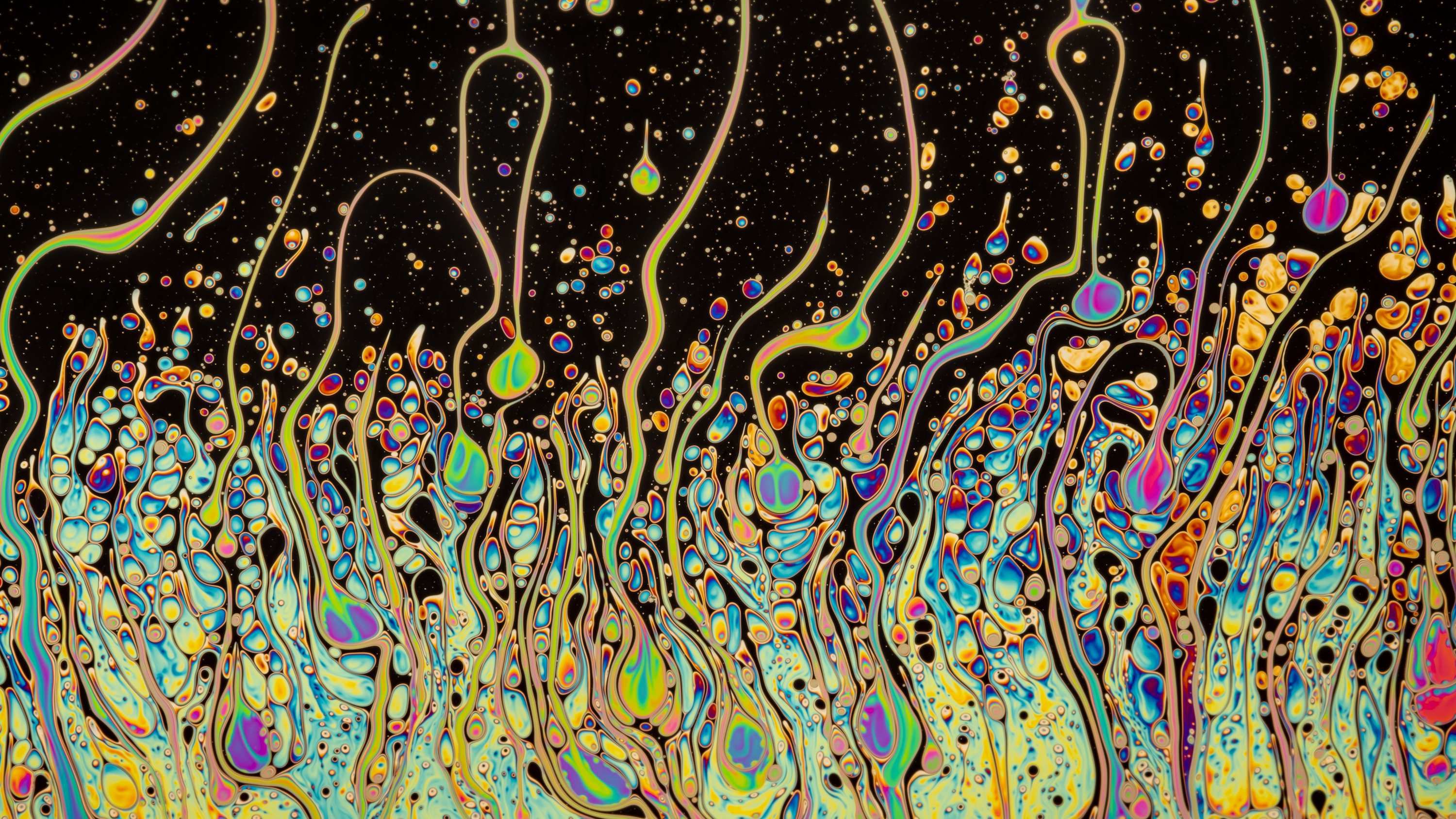 © Bruno Militelli-Delusion-CUPOTY03-Manmade-2nd.jpg