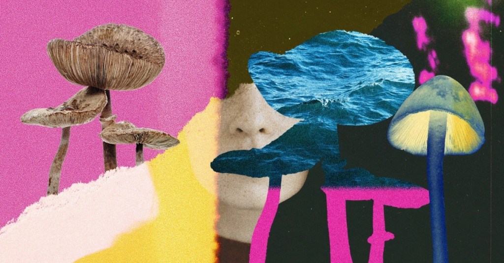 harvard-says-psychedelics-might-make-a-good-anti-inflammatory-therapy